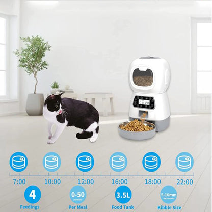 3.5L Automatic Pet Feeder For Cats WiFi Smart Swirl Slow Dog Feeder With Voice Recorder Large Capacity Timing Cat Food Dispenser