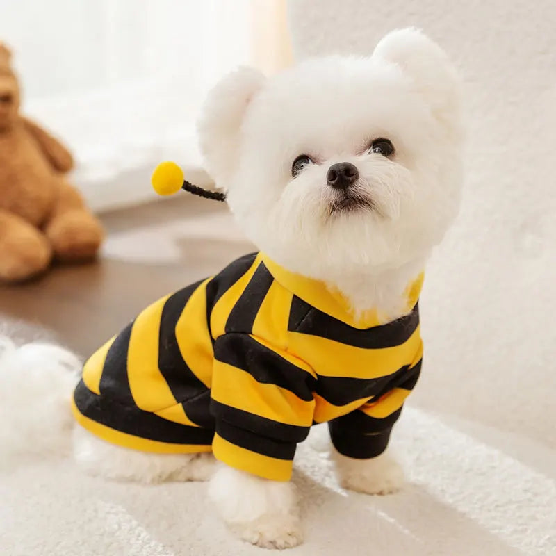 Pet Bee Halloween Costume Hoodie for Dogs & Cats | Pet Accessories