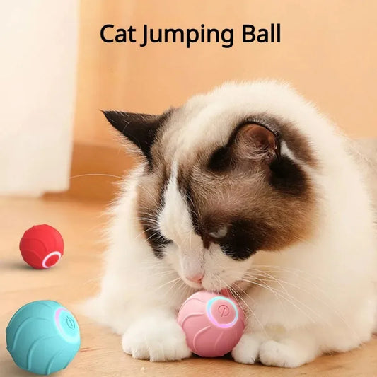 Interactive Rolling Ball Pet Toy for Cats - Automatic USB Teasing Ball for Kittens