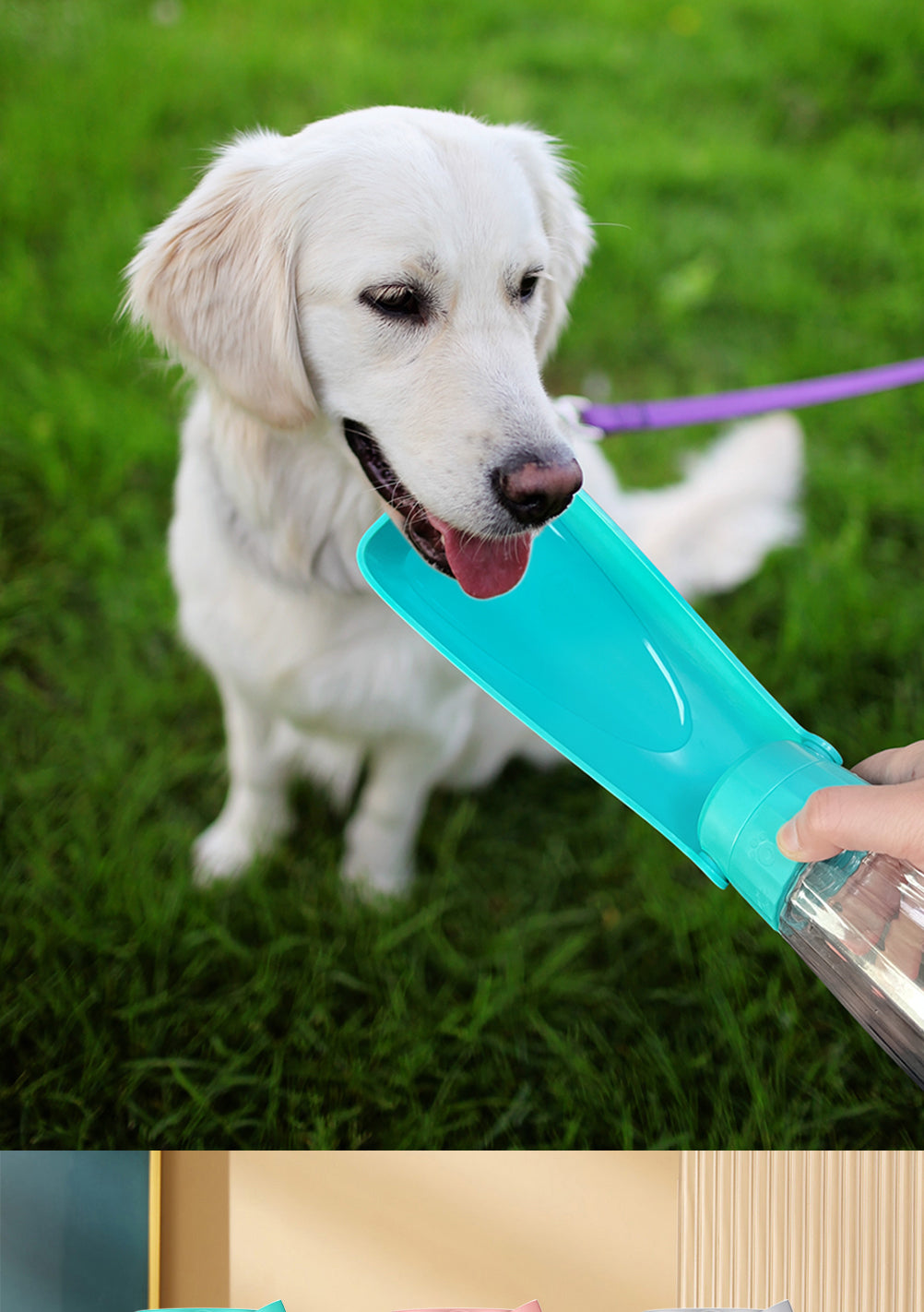 Portable Dog Water Bottle Dispenser For Small Large Dogs Foldable Puppy Outdoor Hiking Drinking Bowl French Bulldog Pet Supplies