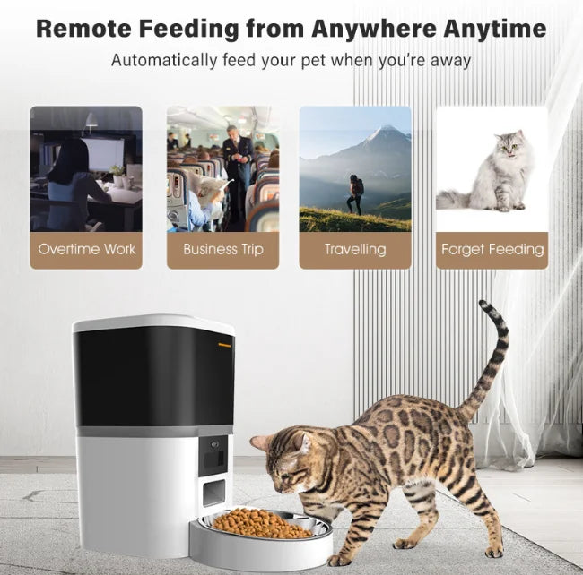 4L Double Meal Camera APP Automatic Pet Feeder Time For Pet Cats Dog Food Stainless Steel Bowl Video Dispenser Smart Pet Feeder