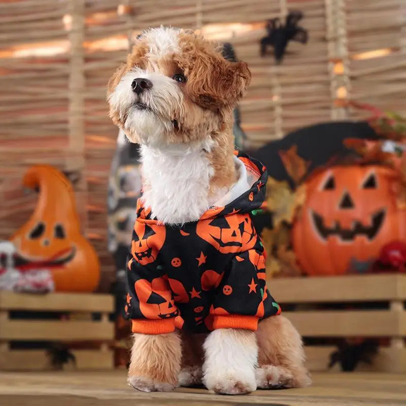 Stretchable Pumpkin Dog Costume - Cute Pet Hoodie for Halloween Dress Up