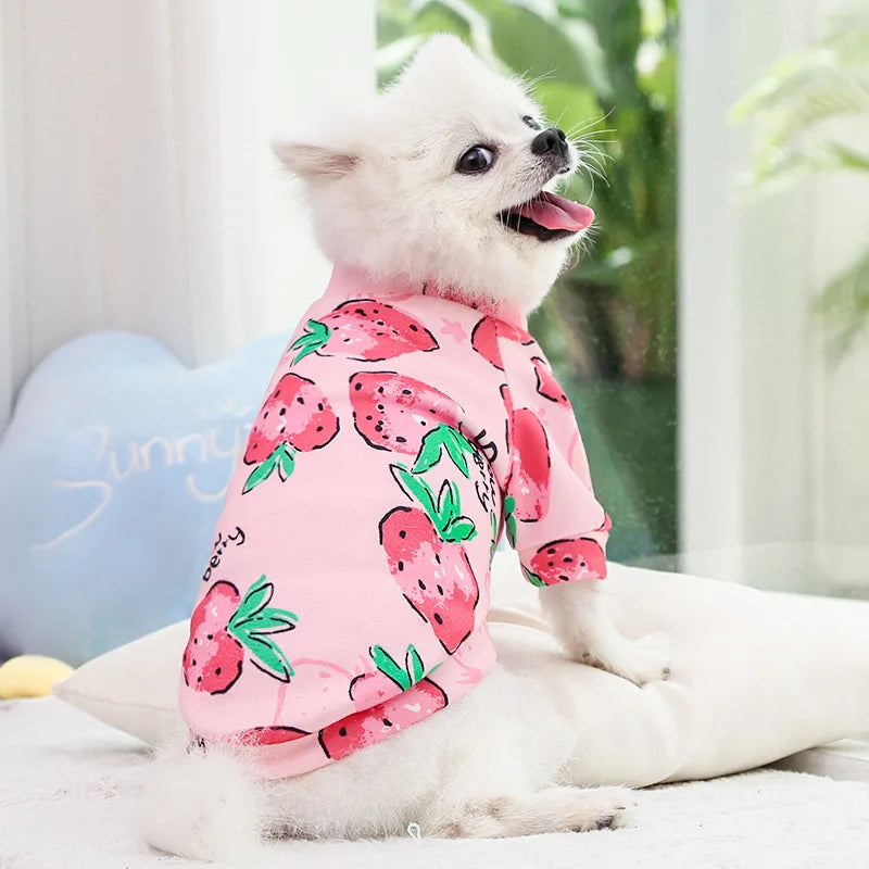 Pet Accessories: Small Dog Winter Hoodie - Warm Pullover for Puppies