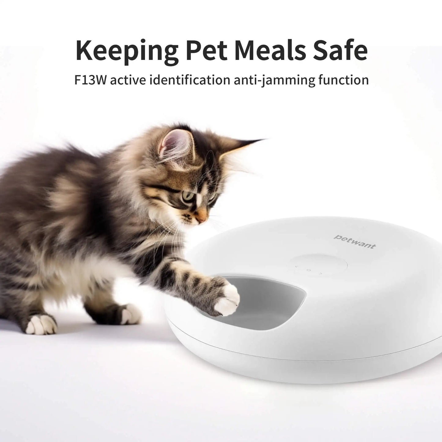 Petwant Automatic Pet Feeder 6 Meals Wifi Remote Cat Food Dispenser For Wet & Dry Food Kibble Dispenser Keep Food Fresh For Cats