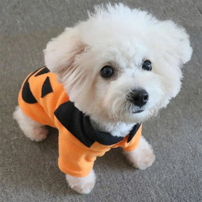 Pumpkin Dog Costume - Soft & Comfortable Halloween Pet Hoodie | Pet Accessories