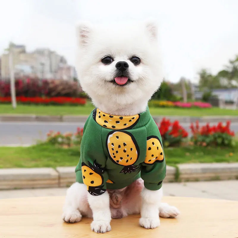 Pet Accessories: Small Dog Winter Hoodie - Warm Pullover for Puppies