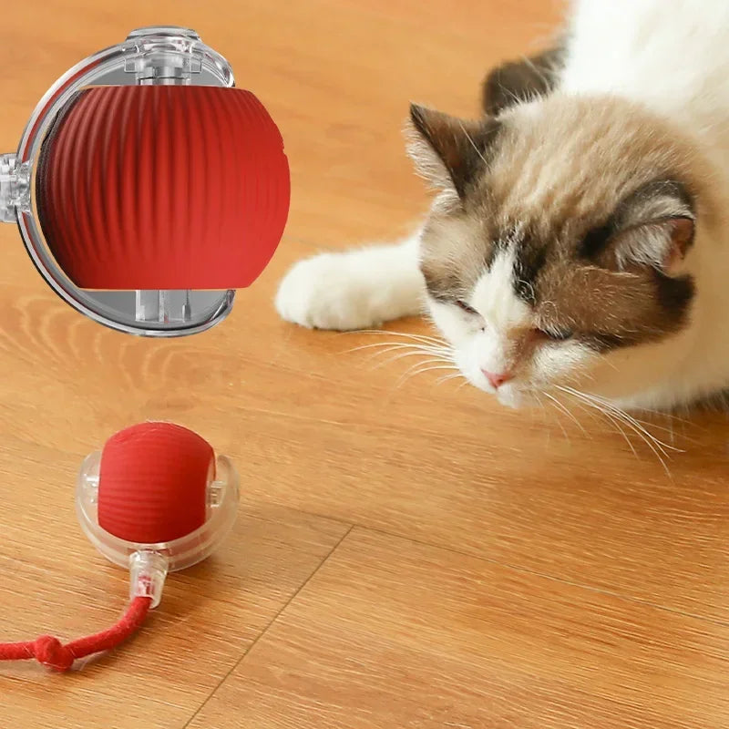 Rechargeable Interactive Rolling Ball Toy for Cats and Dogs - Imitates Mouse Tail