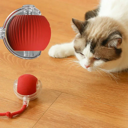 Rechargeable Interactive Rolling Ball Toy for Cats and Dogs - Imitates Mouse Tail