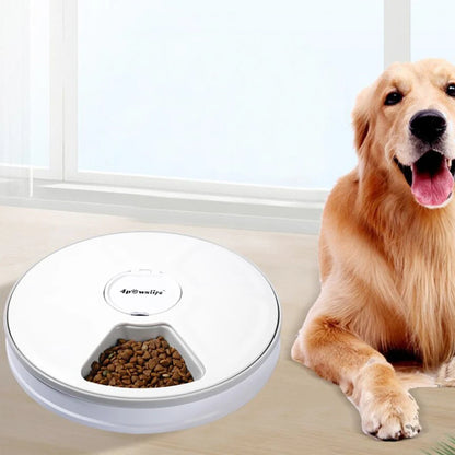 Smart Automatic Pet Feeder With Voice Record Stainless Steel LCD Screen Timer For Dog Food Bowl Cat Food Dispenser Pet Supplies