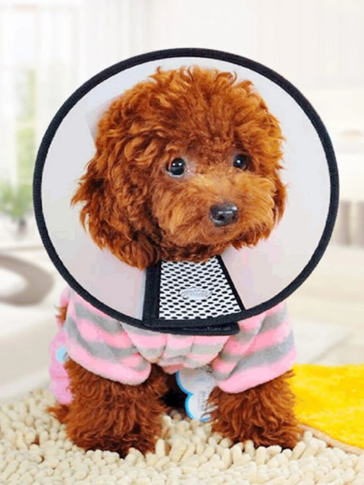 Pet Recovery Cone Collar for Dogs & Cats – Anti-Bite Healing Accessory