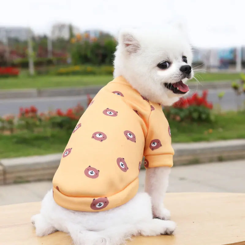 Pet Accessories: Small Dog Winter Hoodie - Warm Pullover for Puppies