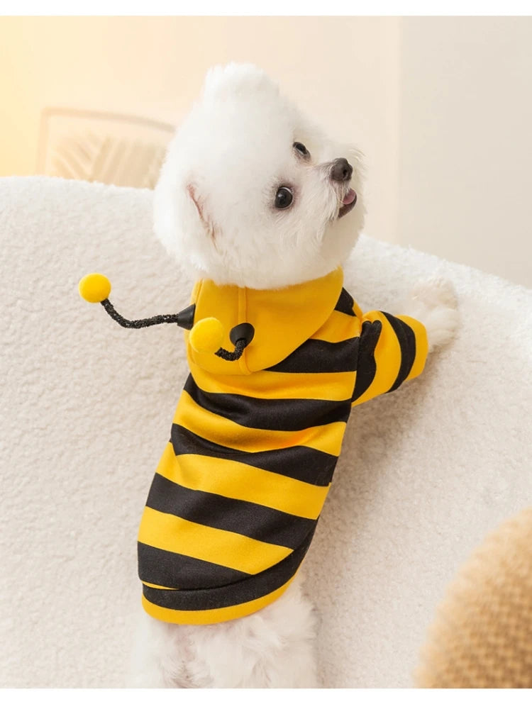 Pet Bee Halloween Costume Hoodie for Dogs & Cats | Pet Accessories