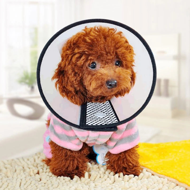 Pet Recovery Cone Collar for Dogs & Cats – Anti-Bite Healing Accessory