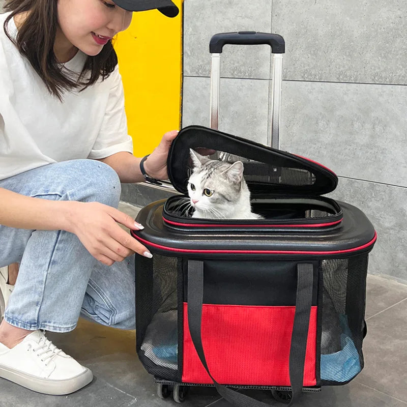 Large Cat Carrier Backpack on Wheels