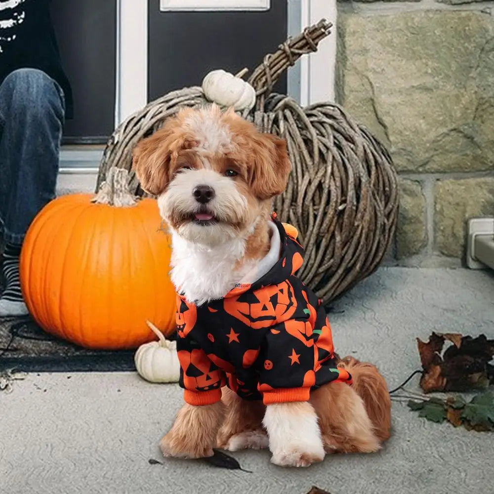 Pumpkin Dog Halloween Costume - Warm Stretchable Hoodie Coat for Cats & Small Pets