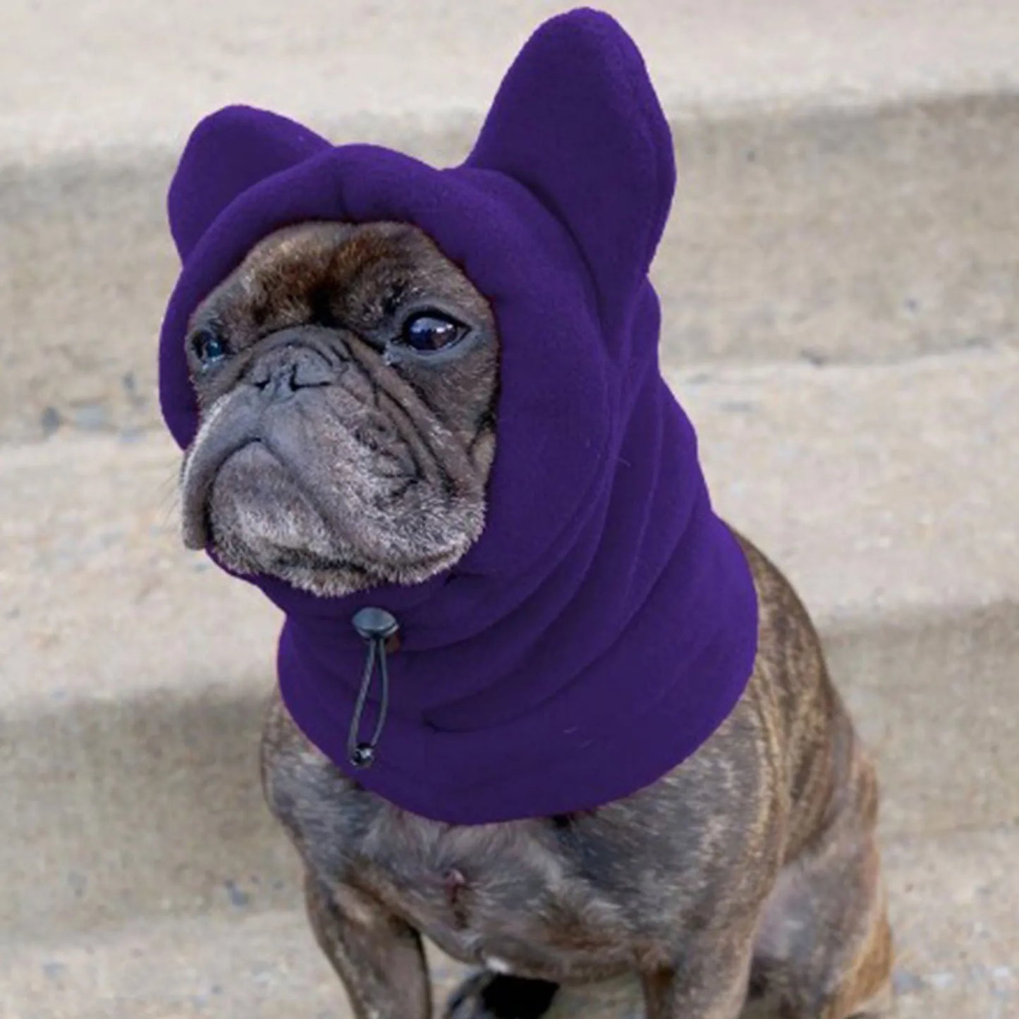 Winter Pet Hat: Fleece Adjustable Hoodie for Medium to Large Dogs and Cats