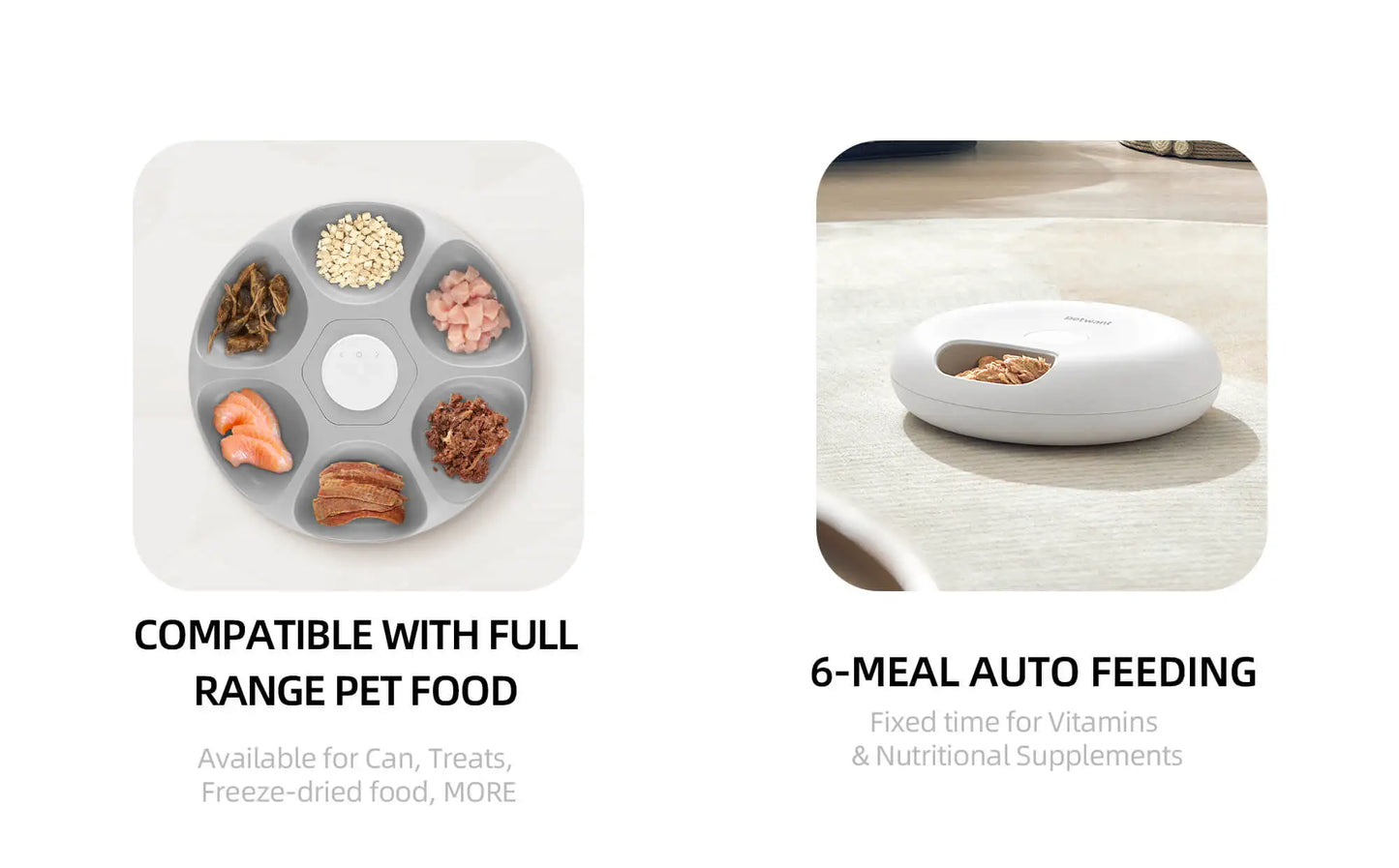 Petwant Automatic Pet Feeder 6 Meals Wifi Remote Cat Food Dispenser For Wet & Dry Food Kibble Dispenser Keep Food Fresh For Cats