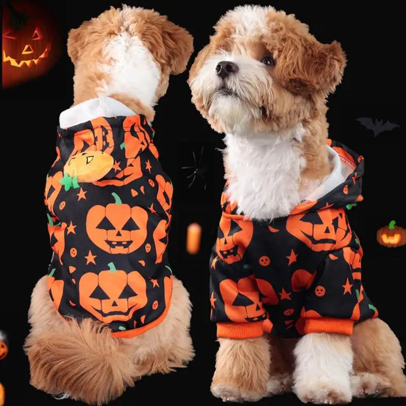 Pumpkin Dog Halloween Costume - Warm Stretchable Hoodie Coat for Cats & Small Pets