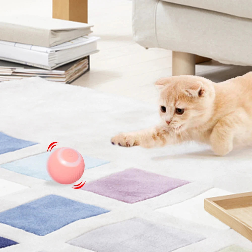 Pet Accessories: Automatic Rolling Interactive Ball Toy for Cats & Dogs