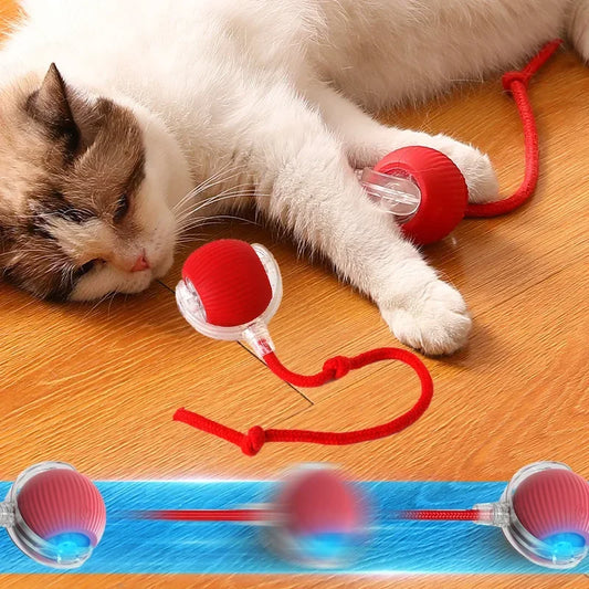 Rechargeable Interactive Rolling Ball Toy for Cats and Dogs - Imitates Mouse Tail